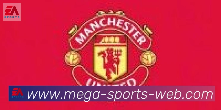 bsports体育合作伙伴